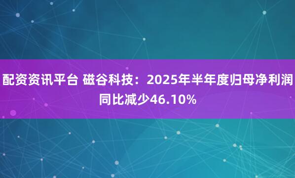 配资资讯平台 磁谷科技：2025年半年度归母净利润同比减少46.10%