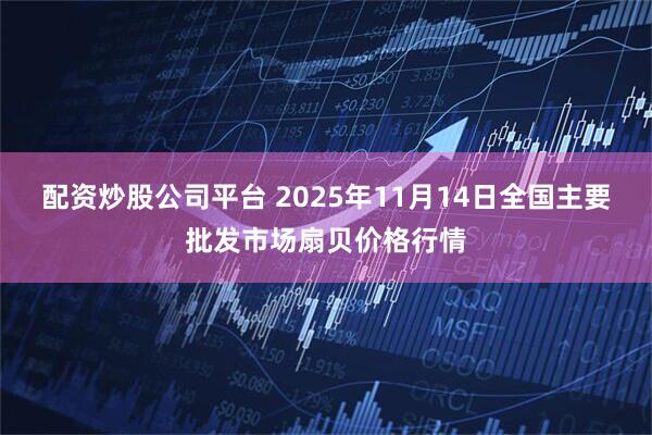 配资炒股公司平台 2025年11月14日全国主要批发市场扇贝价格行情