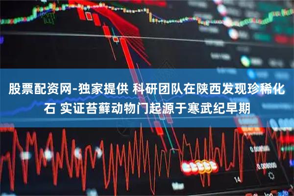 股票配资网-独家提供 科研团队在陕西发现珍稀化石 实证苔藓动物门起源于寒武纪早期